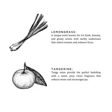 Load image into Gallery viewer, Slow North - All Natural Reed Diffuser - Lemongrass + Tangerine Scent