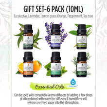 Load image into Gallery viewer, Pursonic - 3-in-1 Salt Diffuser &amp; 6 Pack Essential Oil Set
