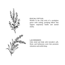 Load image into Gallery viewer, Slow North - All Natural Soy Wax Candle - Eucalyptus + Lavender Scent
