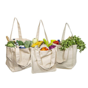 Choixe - Reusable Organic Tote Mesh Bag w/6 Internal Sleeves