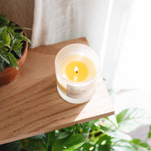 Load image into Gallery viewer, Slow North - All Natural Soy Wax Candle - Grapefruit + Geranium + Lime Scent
