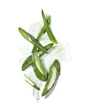Load image into Gallery viewer, Masami - Mekabu Hydrating Conditioner
