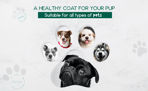 BeNat Pets. - All-Natural Pet Shampoo Bar - Oats Scent