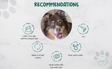 Load image into Gallery viewer, BeNat Pets. - All-Natural Pet Shampoo Bar - Oats Scent
