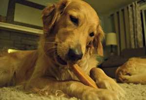 EcoKind - All Natural Yak Chews - Peanut Butter Flavor