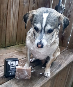 Sol Terra - All Natural Pet Soap Bar