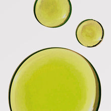 Load image into Gallery viewer, Herban Wisdom® Facial Oil
